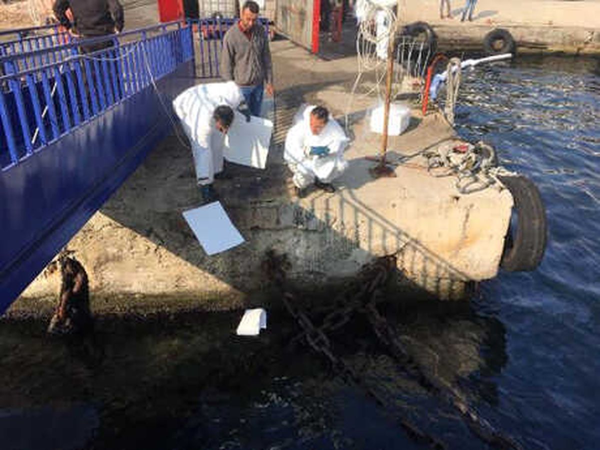 İzmit Körfezi\'ndeki Kirlilikle İlgili Temizleme Çalışması