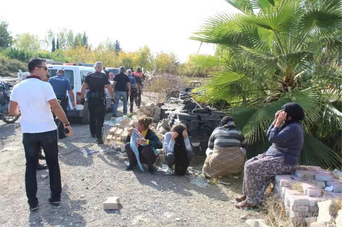 Koyun Çaldılar, "Sünnet Düğünü Yapacaktık" Dediler