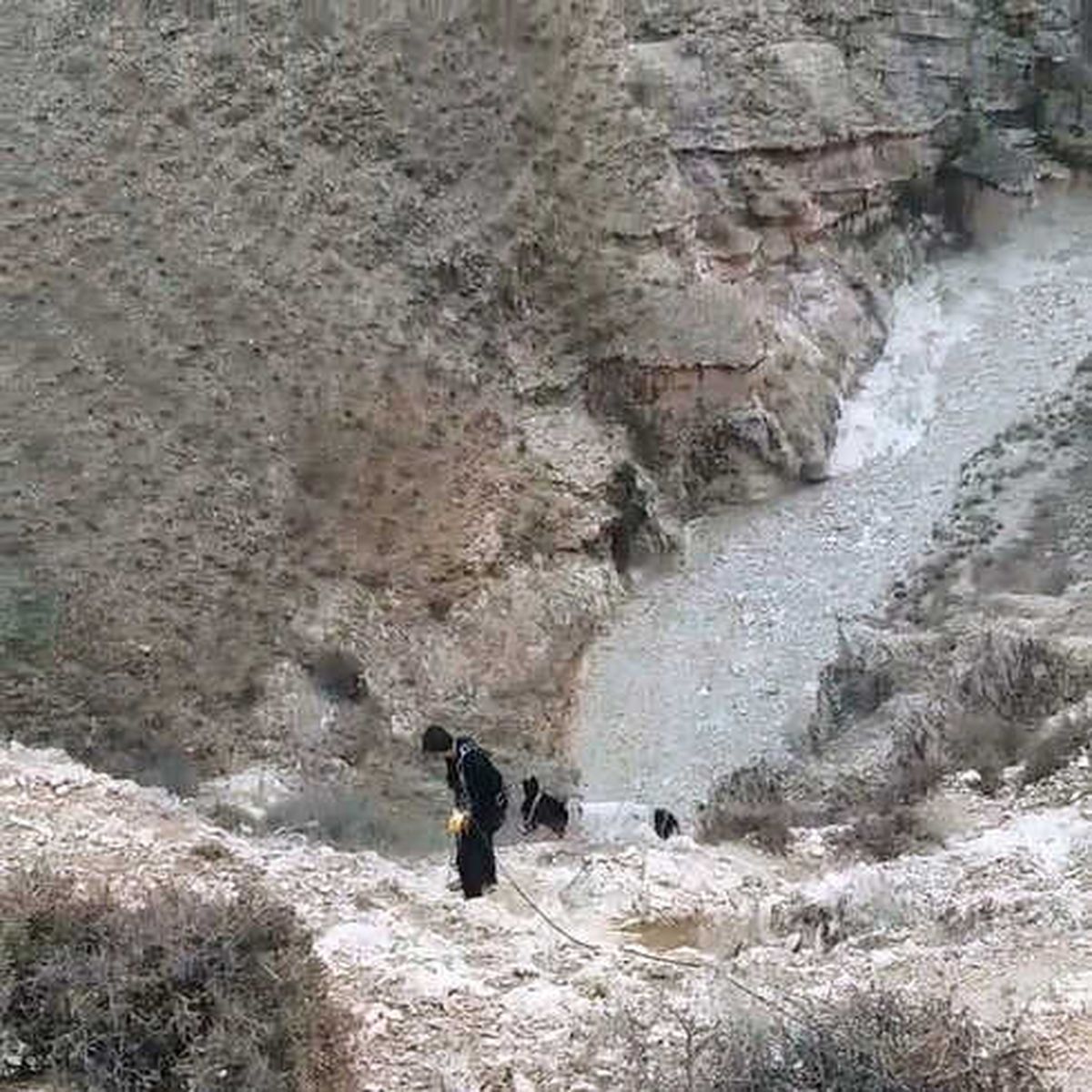 Mahsur Kalan Eşeği Ekipler Kurtardı