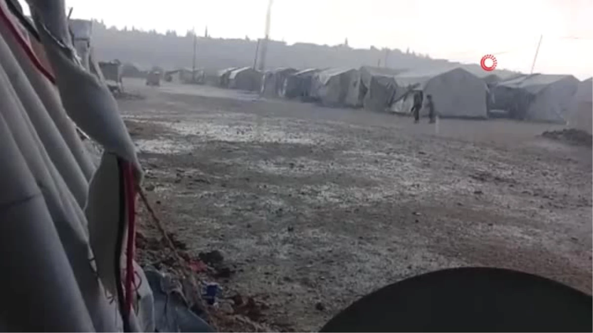 Suriye\'deki Filistinli Mültecilerden Cumhurbaşkanı Erdoğan\'a \' Bizi Kurtar\' Çağrısı