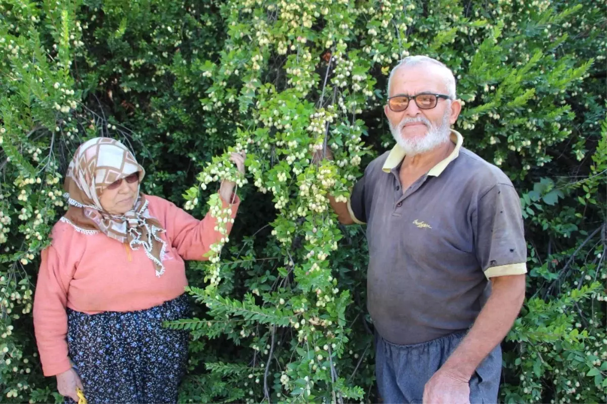 30 Yıl Önce Köye Gelen Öğretmen Hayatlarını Değiştirdi