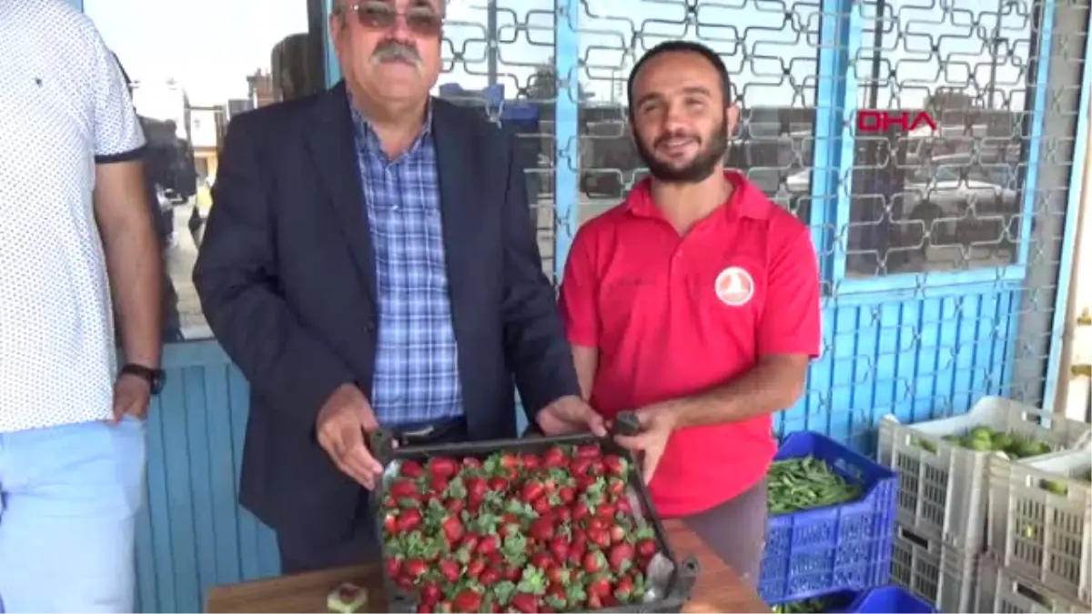 Antalya Turfanda Çilek Çıktı