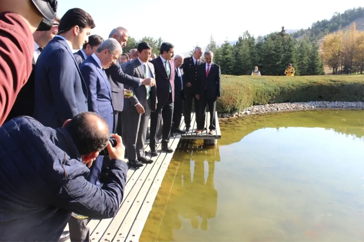 Bakan Ersoy: "Japonlar, Diğer Asyalı Turistler İçin de Çekim Noktası Oluşturuyor"