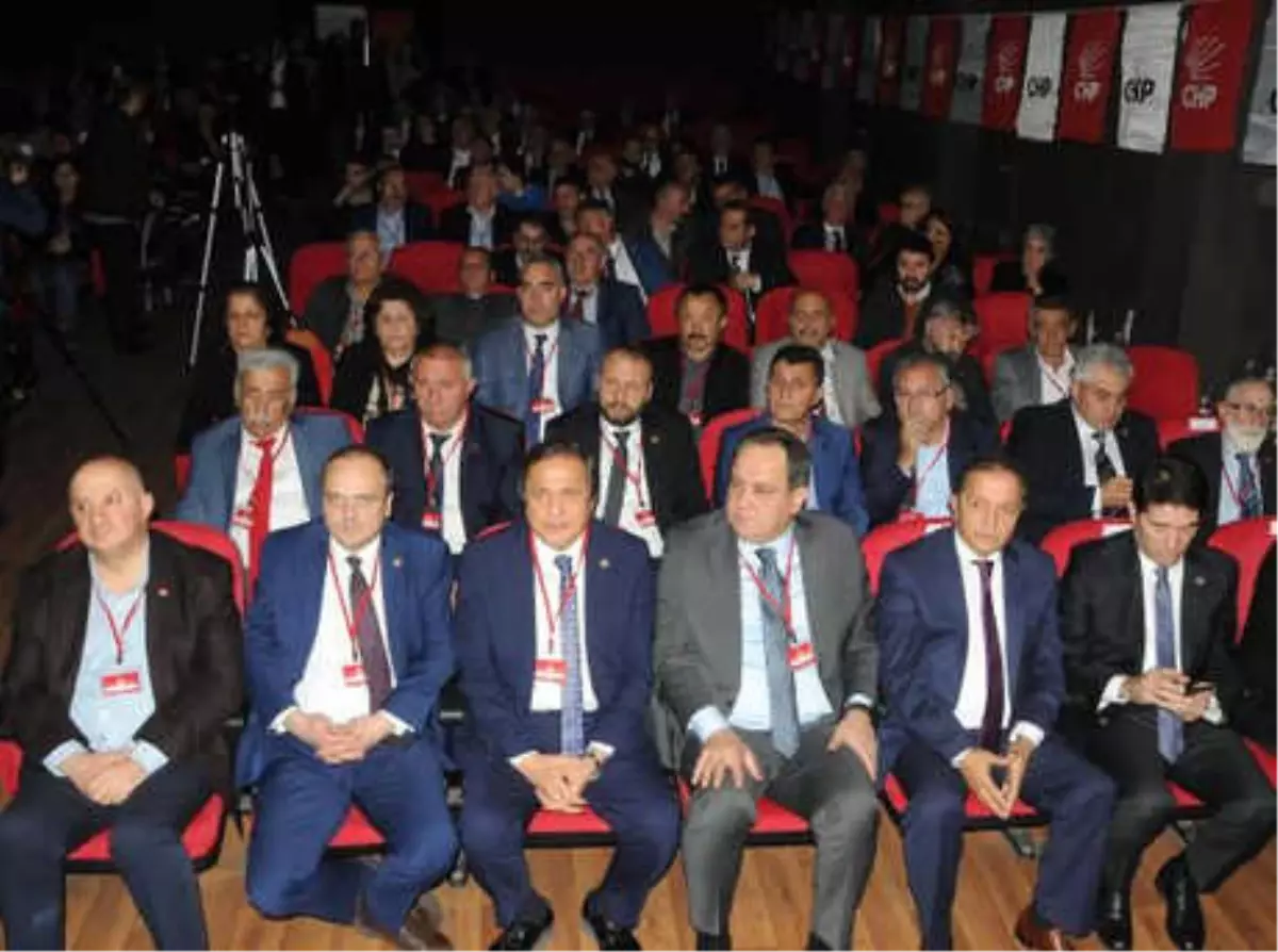 CHP\'li Torun: Lale Devri Bitti, Kır Çiçeklerinin Devri Yaklaşıyor