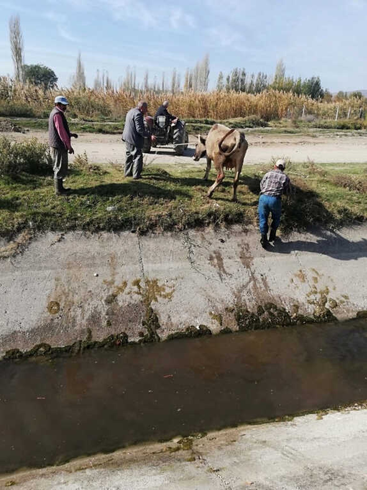 Çivril Zabıtası Hayat Kurtardı