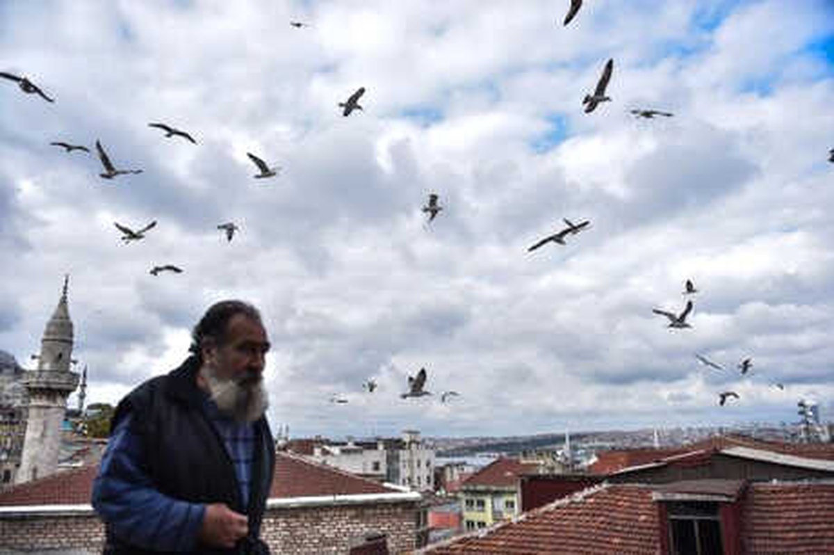Doyumsuz Manzarada Martıların Ekmek Kavgası