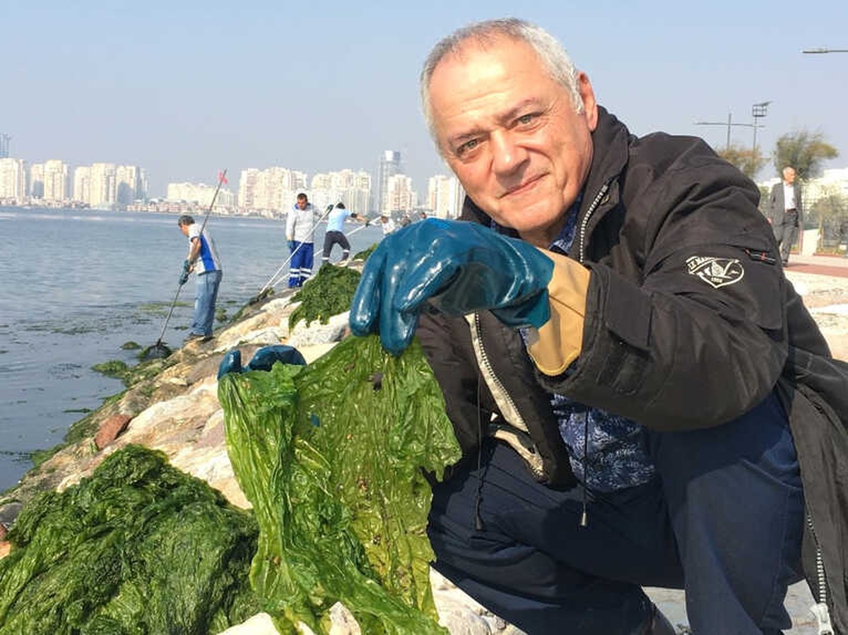 O Profesör Körfez\'deki Zehirlenme Uyarısına Açıklık Getirdi