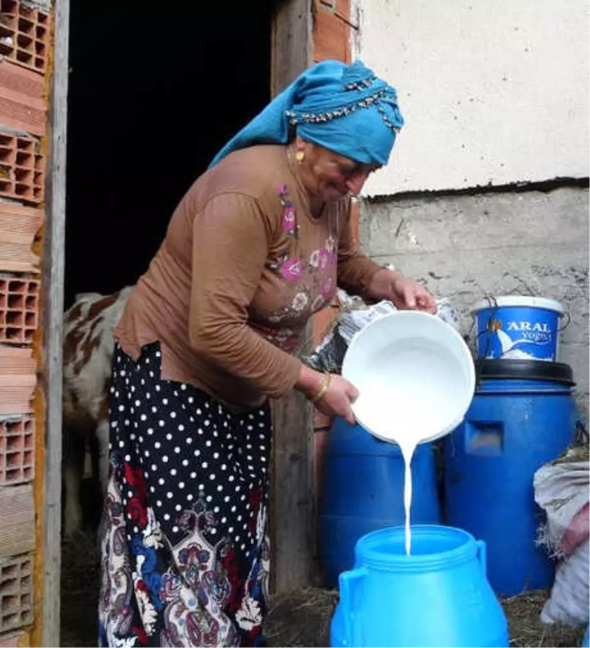 Ödüllü\' Tereyağının Fabrikasında Üretime Ara Verildi, Sütler Elde Kaldı