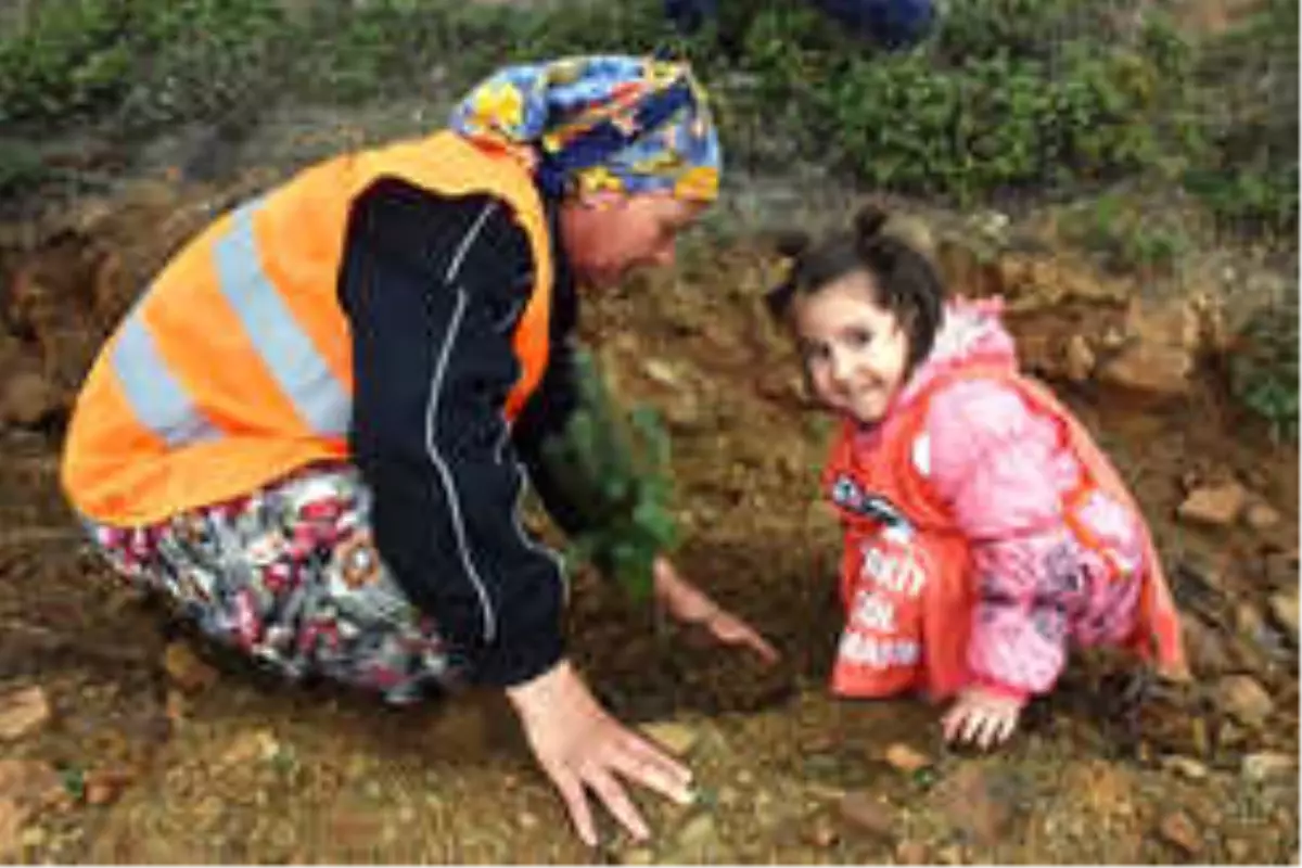 Süleymanpaşa Belediyesi Çocuk Akademisi TEMA İle Fidan Dikti