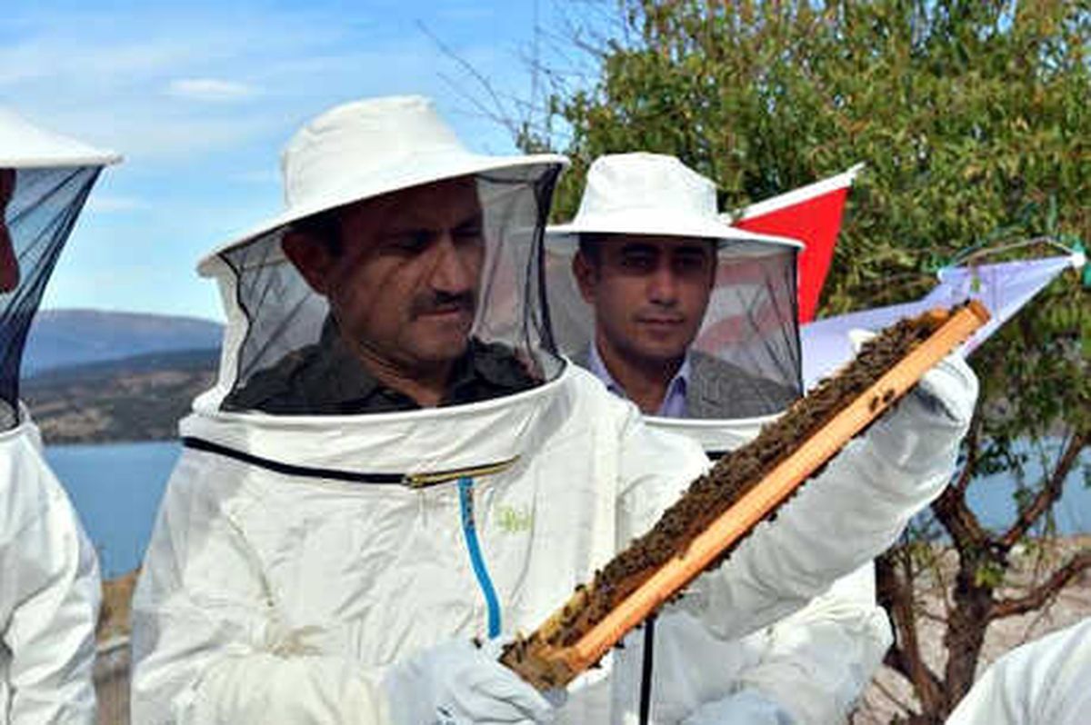 Tunceli\'de Genç Çiftçilere Kovan Dağıtıldı