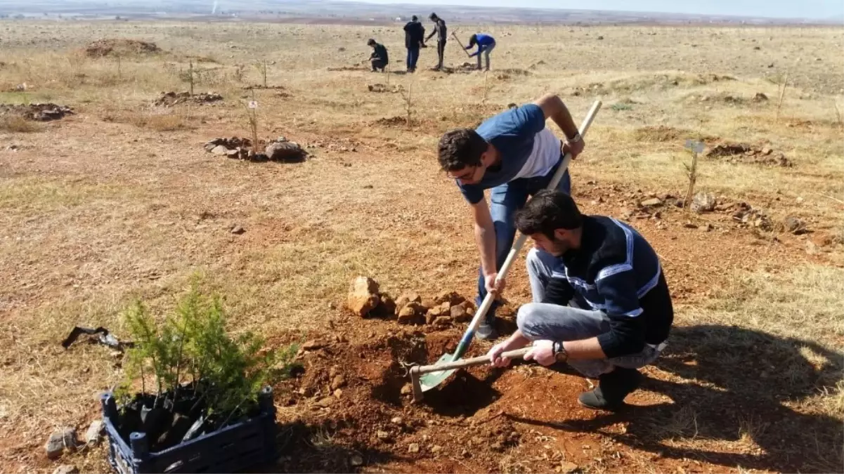 Üniversite Öğrencileri, 15 Temmuz ve Afrin Şehitleri İçin Fidan Dikti