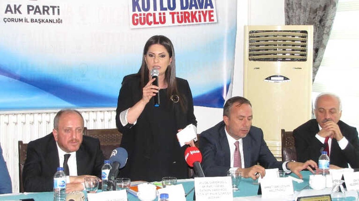 AK Parti\'li Sarıeroğlu Çorum\'da Stk Temsilcileriyle Biraraya Geldi