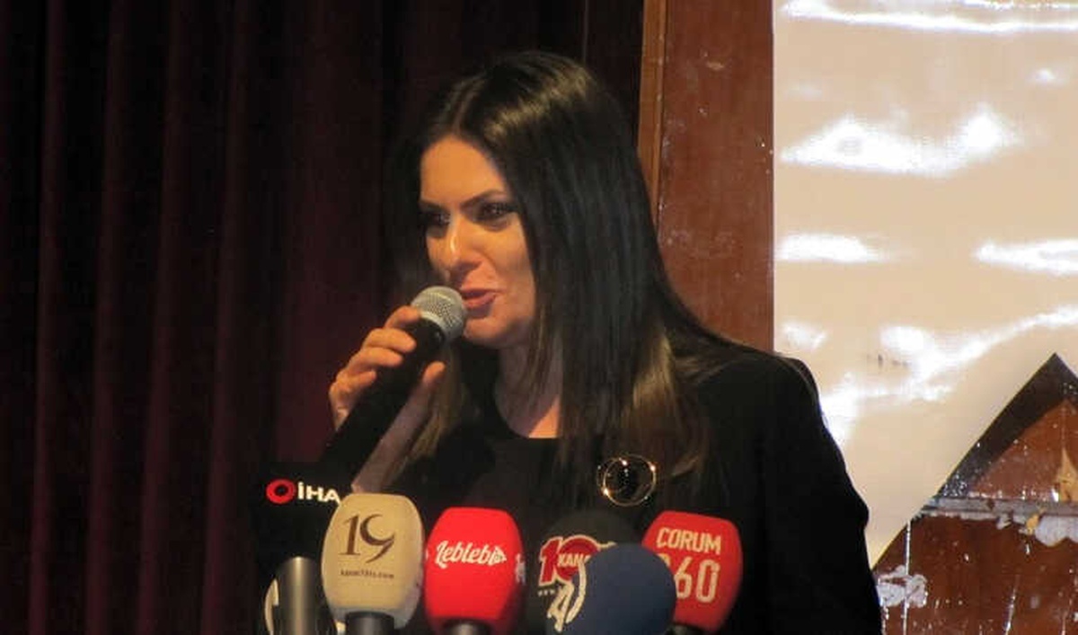 AK Parti\'li Sarıeroğlu: "Cumhurbaşkanlığı Hükümet Sistemi Yeni Fırsatlarla Dolu"