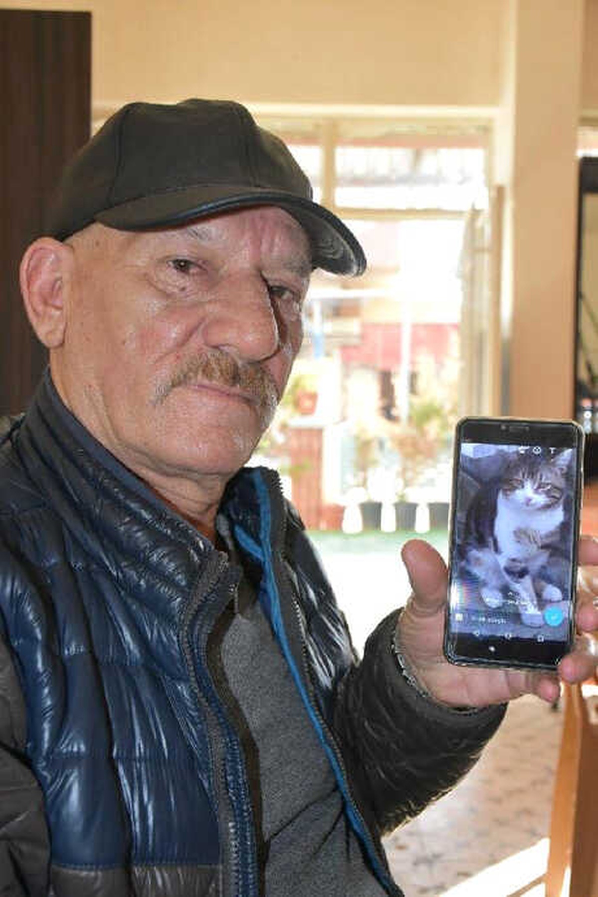 3 Bacaklı Kayıp Kedisi \'Cino\'yu Her Yerde Arıyor