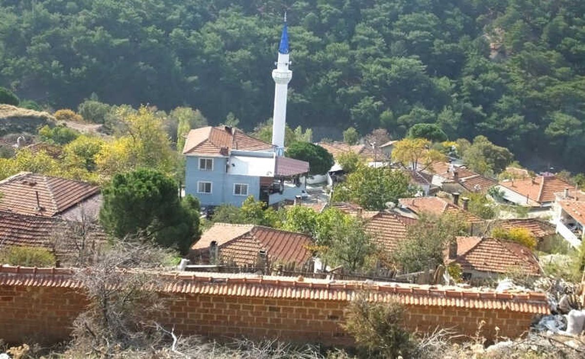 Burhaniye\'de Kuduz Karantinası