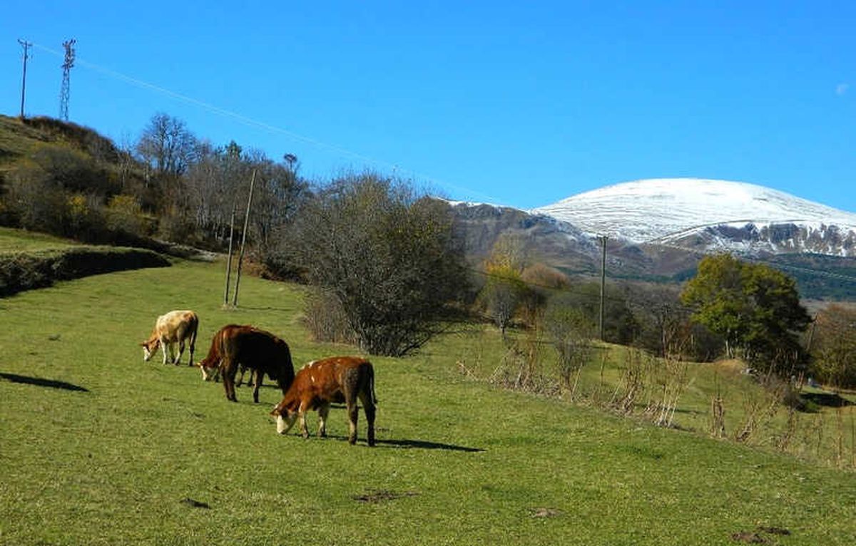 Doğu\'da Soğuk Hava