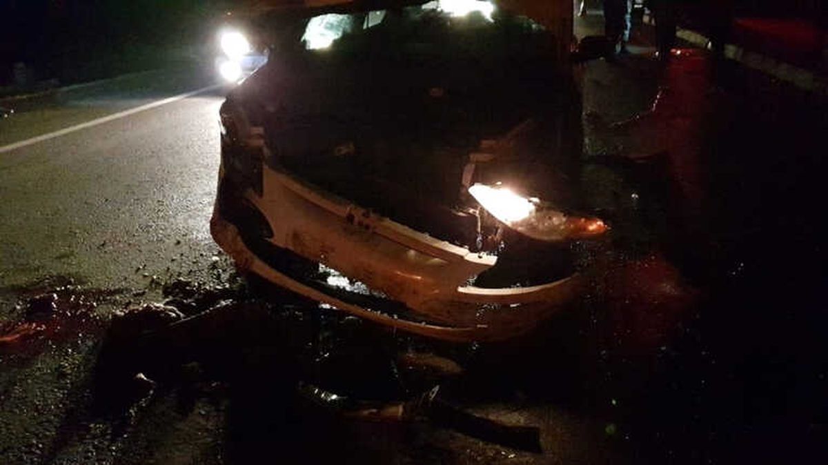 Hatay\'da Otomobil Sürüye Daldı: Onlarca Hayvan Telef Oldu