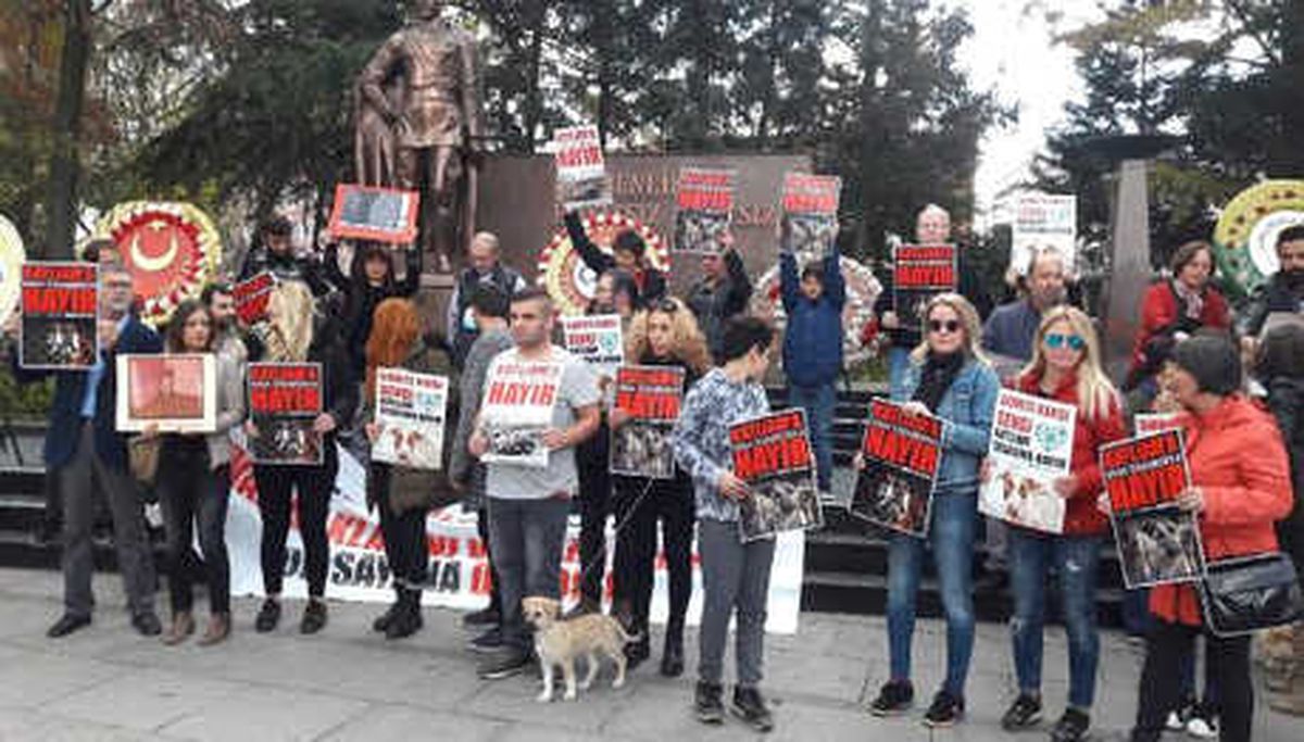 Hayvanlarsevelerden Altıncı Madde Protestosu
