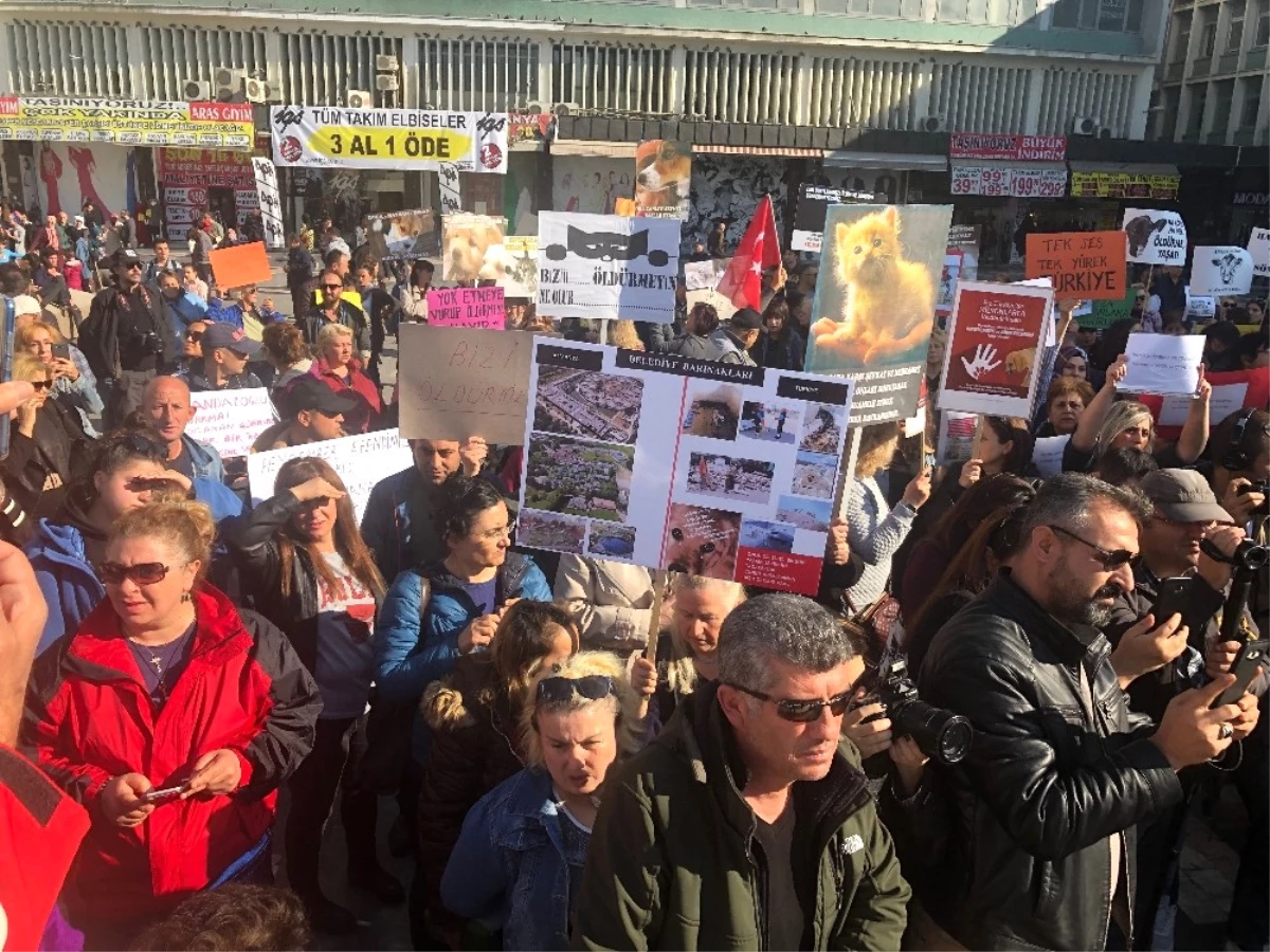 Hayvanseverler \'Hayvan Haklarını Koruma Kanun Tasarısı\'nı Protesto Etti