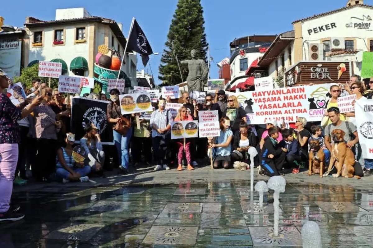 Hayvanseverlerden Maskeli Eylem