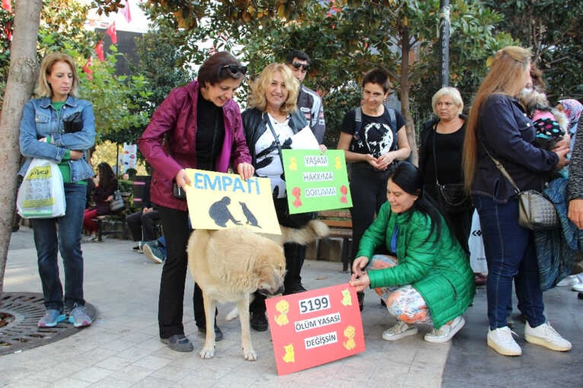Hayvanseverlerden Yeni Yasa Tasarısına Tepki