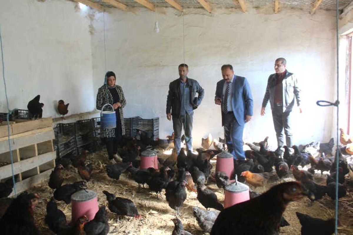 Iğdır\'da Kanatlı İşletme Sayısı Artıyor
