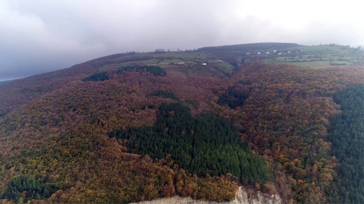 Karadeniz\'de Sonbaharda Renk Cümbüşü