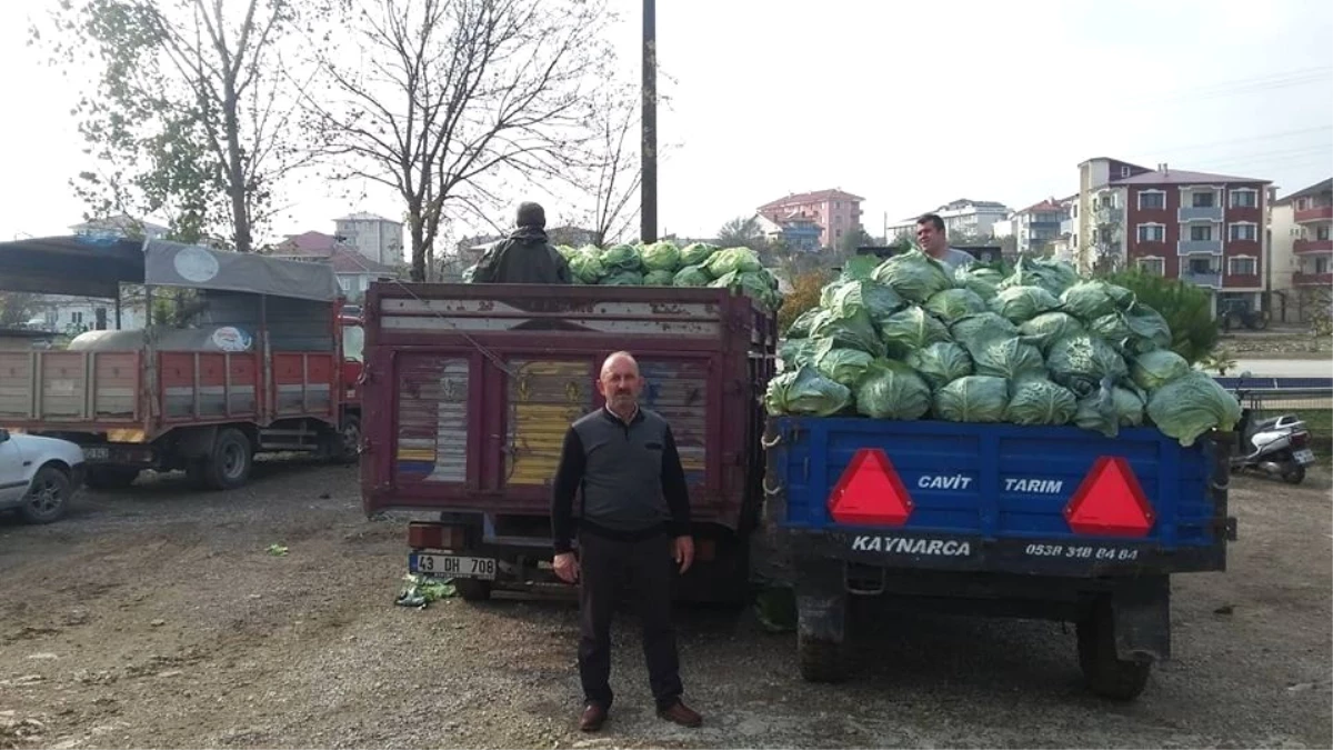 Kaynarca Lahanası Pazara İndi