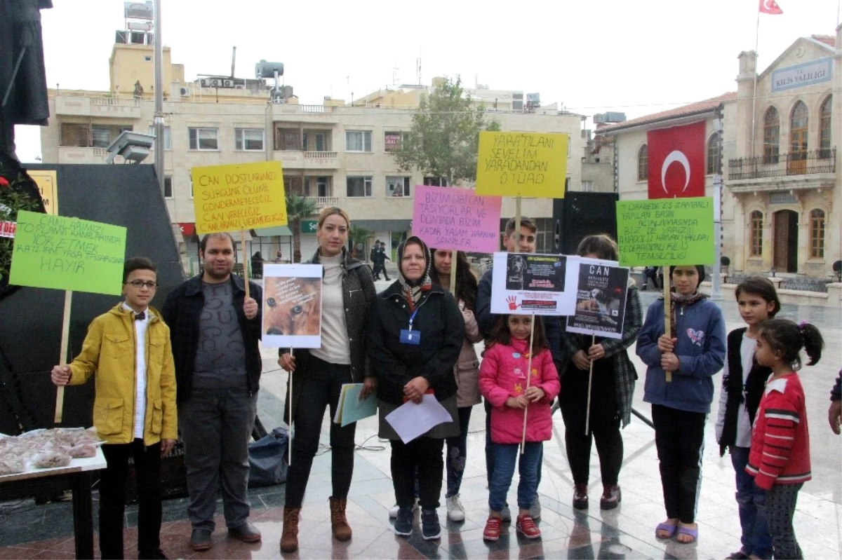 Kilis\'te 9 Kişilik Gruptan Hayvanlara İşkence Protestosu