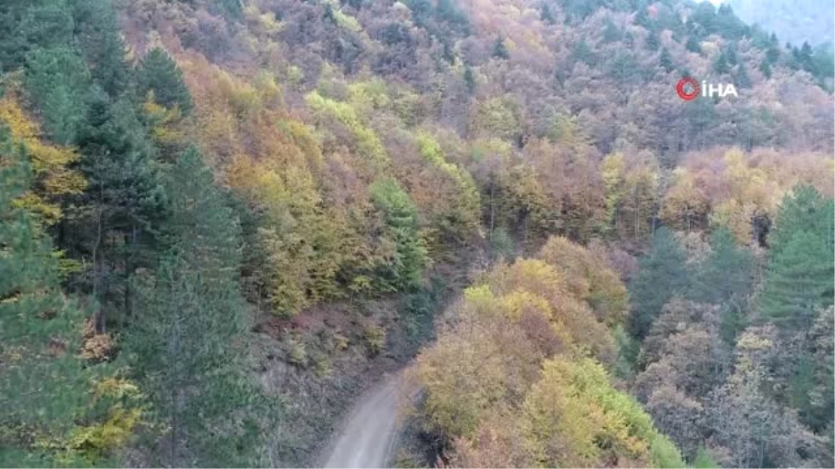 Türkiye\'nin En Büyük Blok Ormanlarını Barındıran Yenice\'nin Sonbahar Güzelliği Havadan Görüntülendi