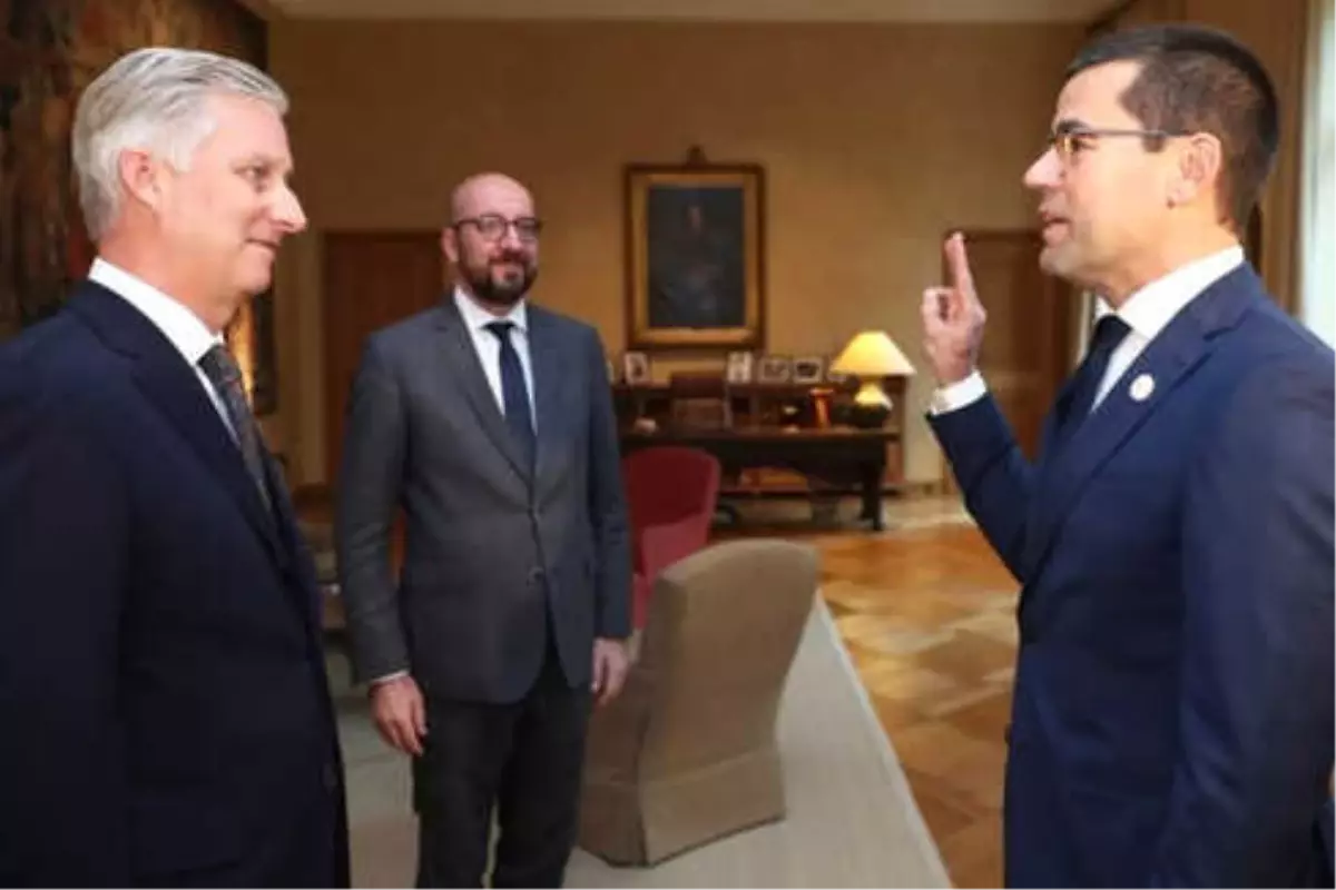 Belçika\'nın Yeni Milli Savunma Bakanı Loones Yemin Etti