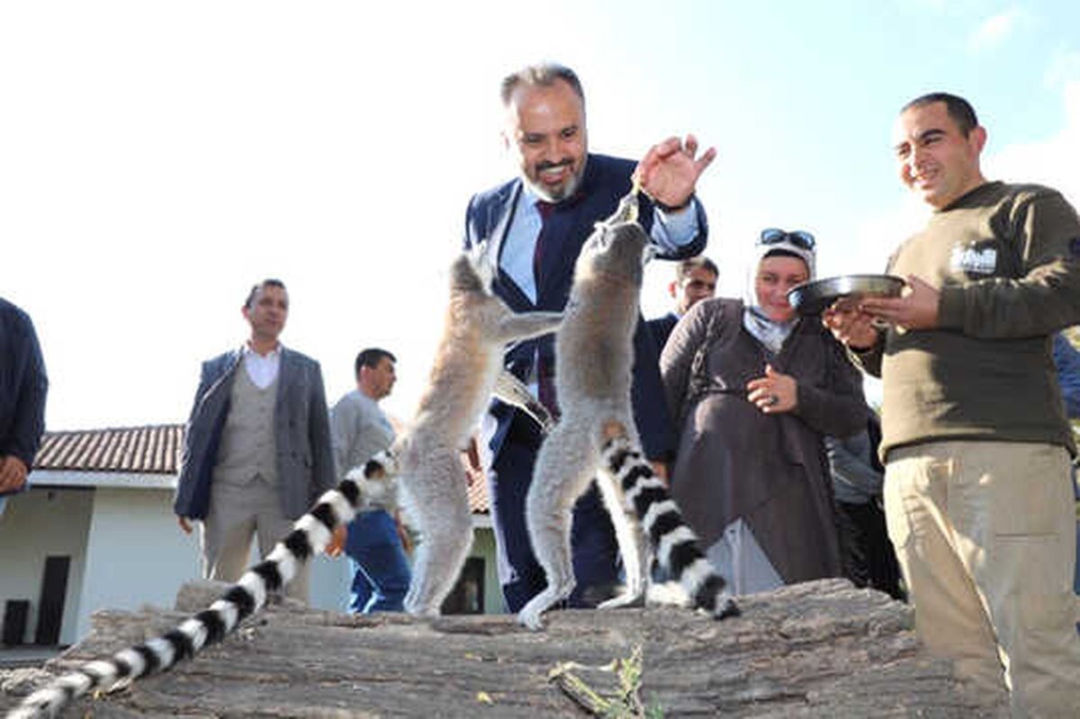 Bursa Zoo 20 Yaşında