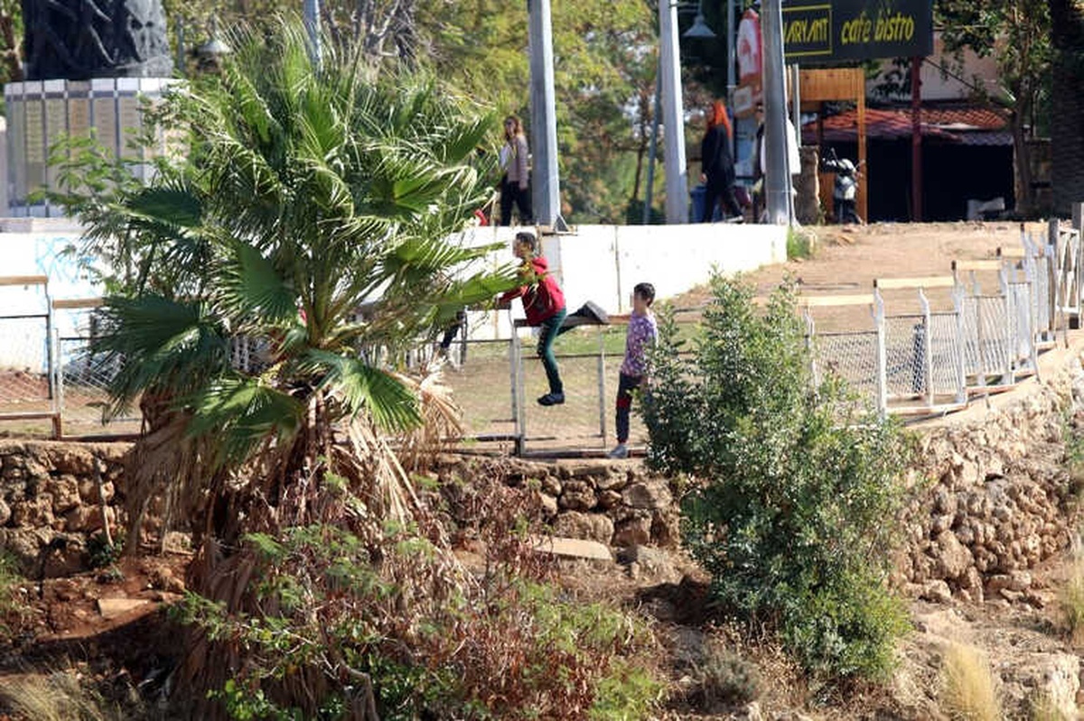 Çocukların Falezlerdeki Tehlikeli Yolculuğu