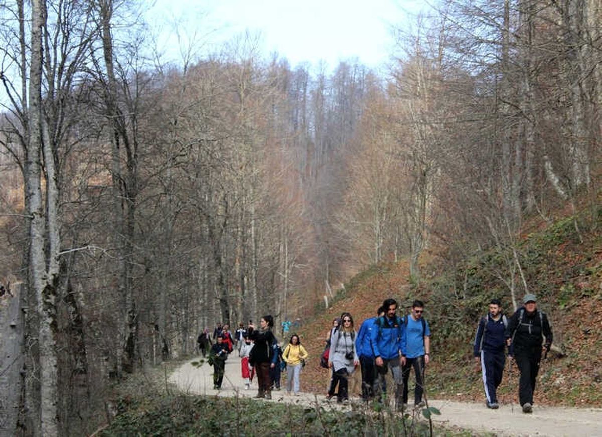 Doğa Yürüyüşleri Yörükyeri Parkuru ile Devam Etti