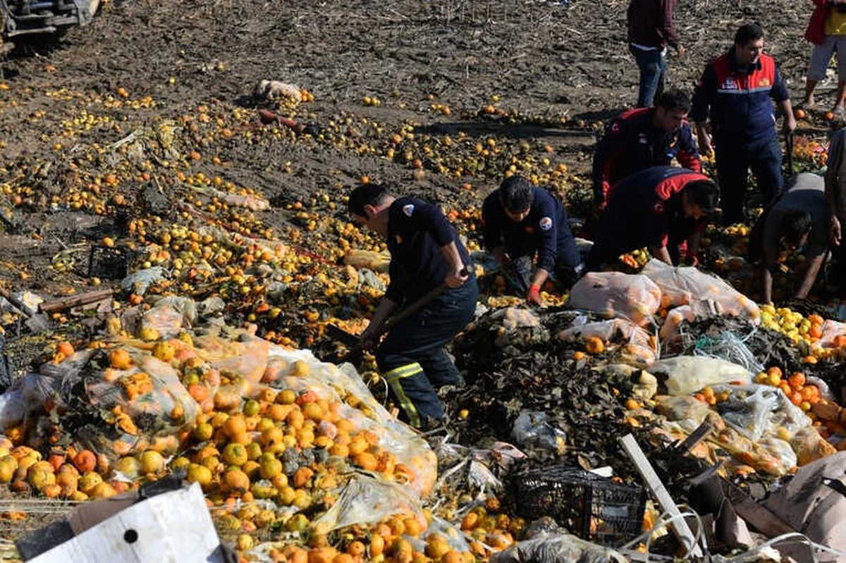 Narenciye Posası Altında Can Pazarı