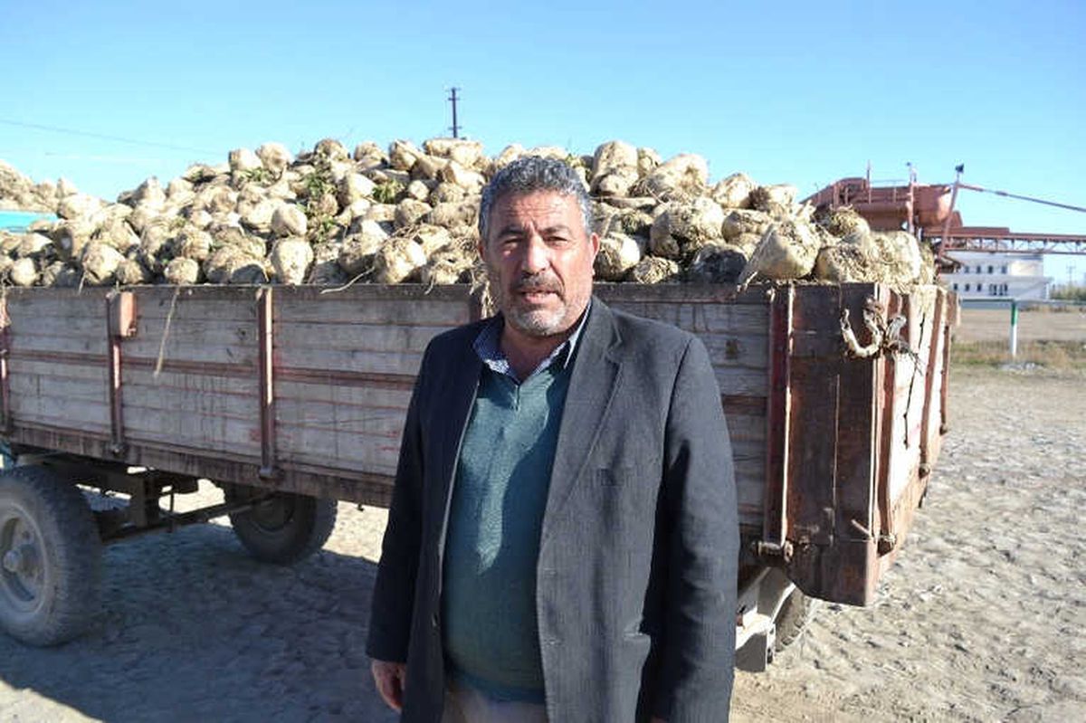 Şuhut\'ta Şeker Pancarı Alımları Başladı