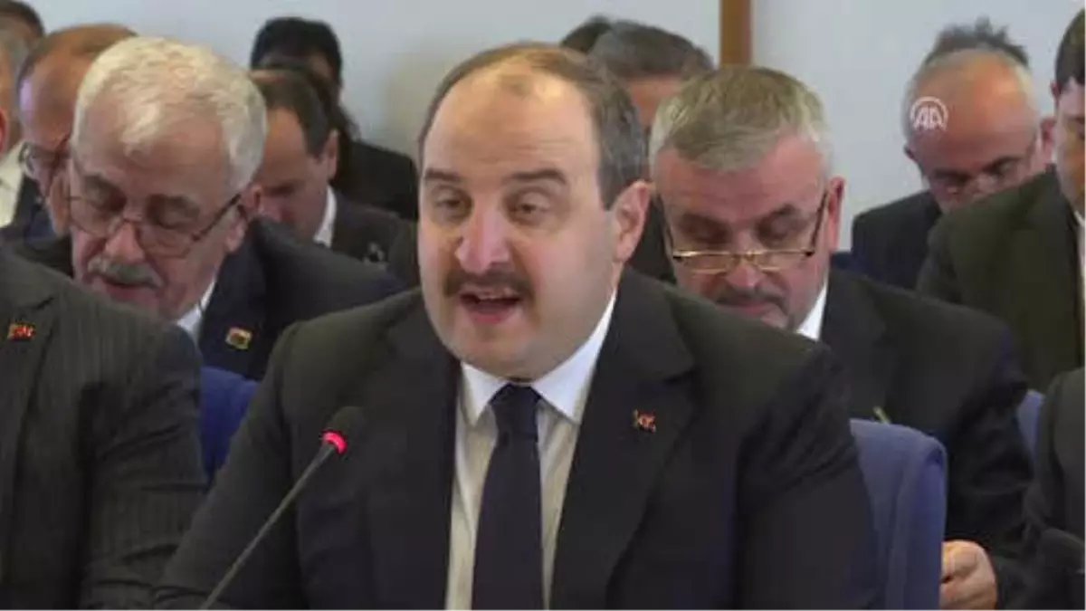 Varank: "Türkiye\'nin Otomobilinin İlk Prototipi, 2019\'da Üretilecek"