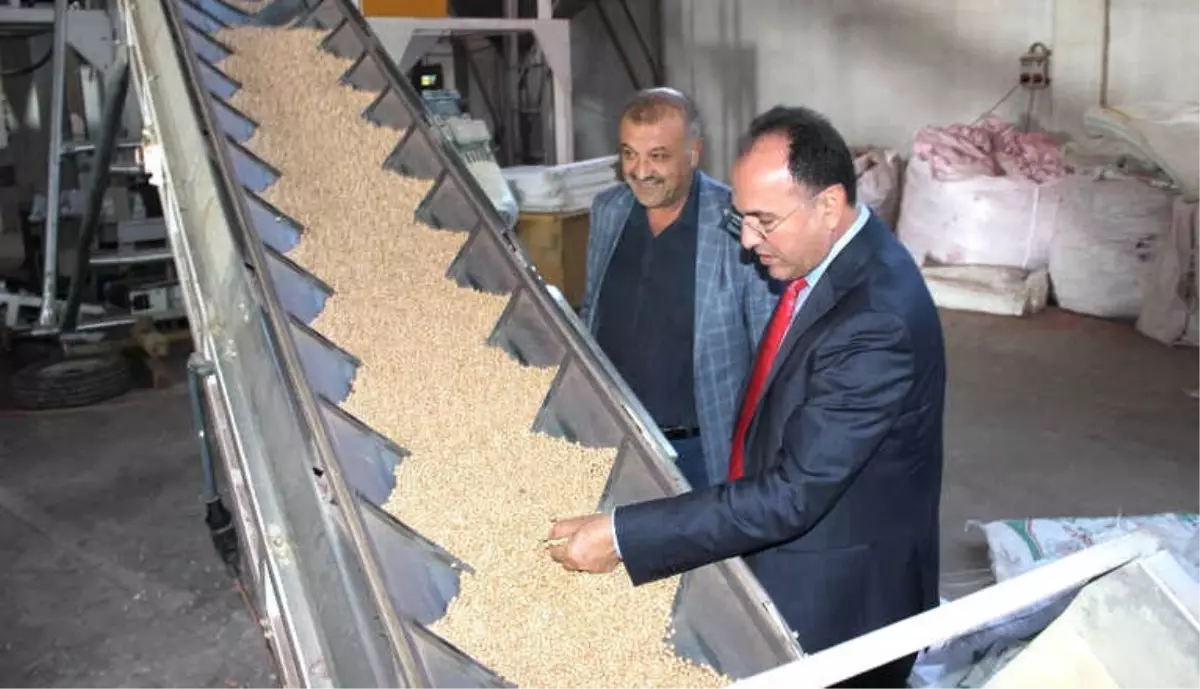 Yerli Tohumun Merkez Üssü Adıyaman\'dan Yurt Dışına Tohum İhracatı