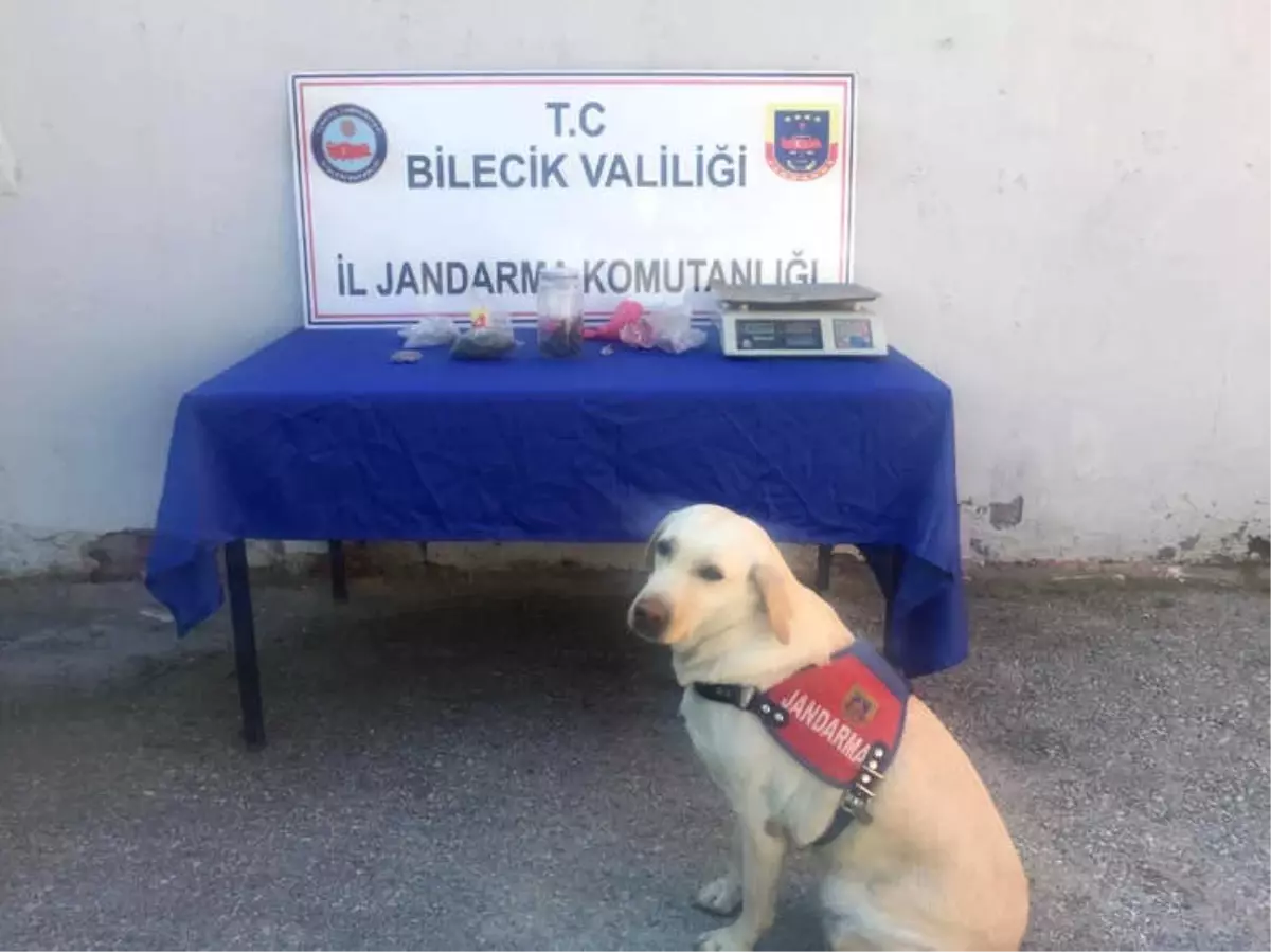 Bilecik\'te Uyuşturucu Operasyonu