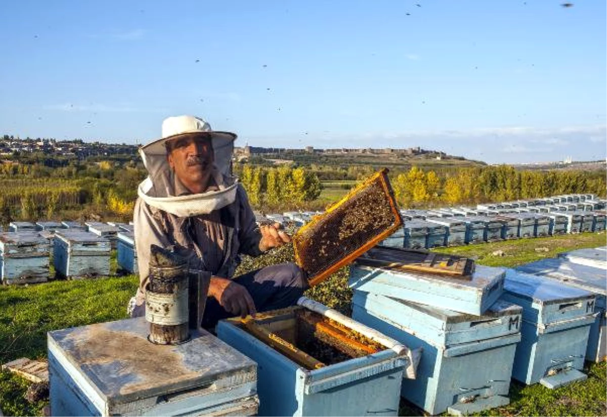 Bingöllü Arıcı Kışı Geçirmek İçin Arılarını Diyarbakır\'a Getirdi