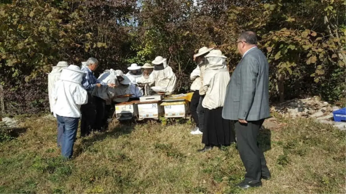 Çaycuma\'da 14 Kursiyer Arıcılık Kursunu Tamamladı