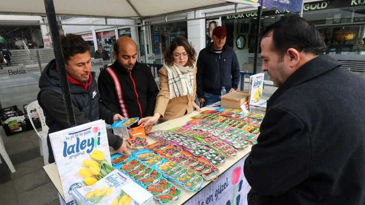 Kocaeil\'deki Lale Festivali İçin Satışlar Başladı