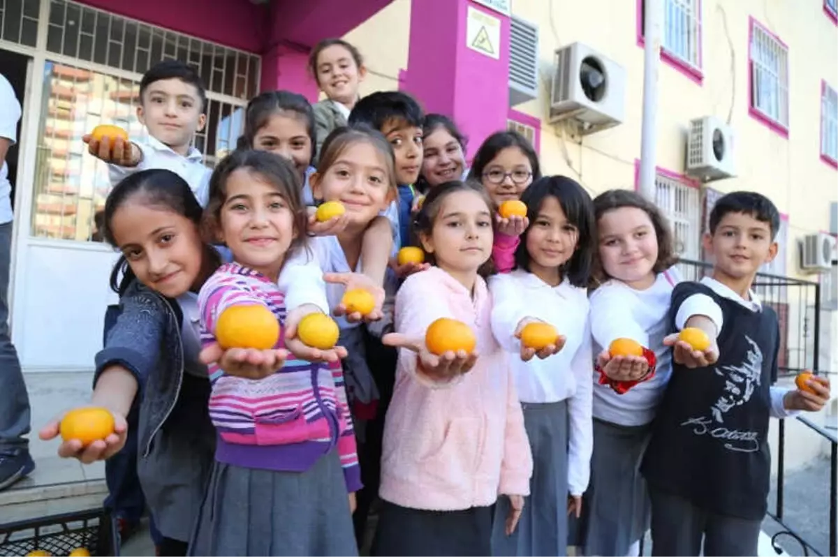 Öğrenciler Mandalina ile Festivale Davet Edildi