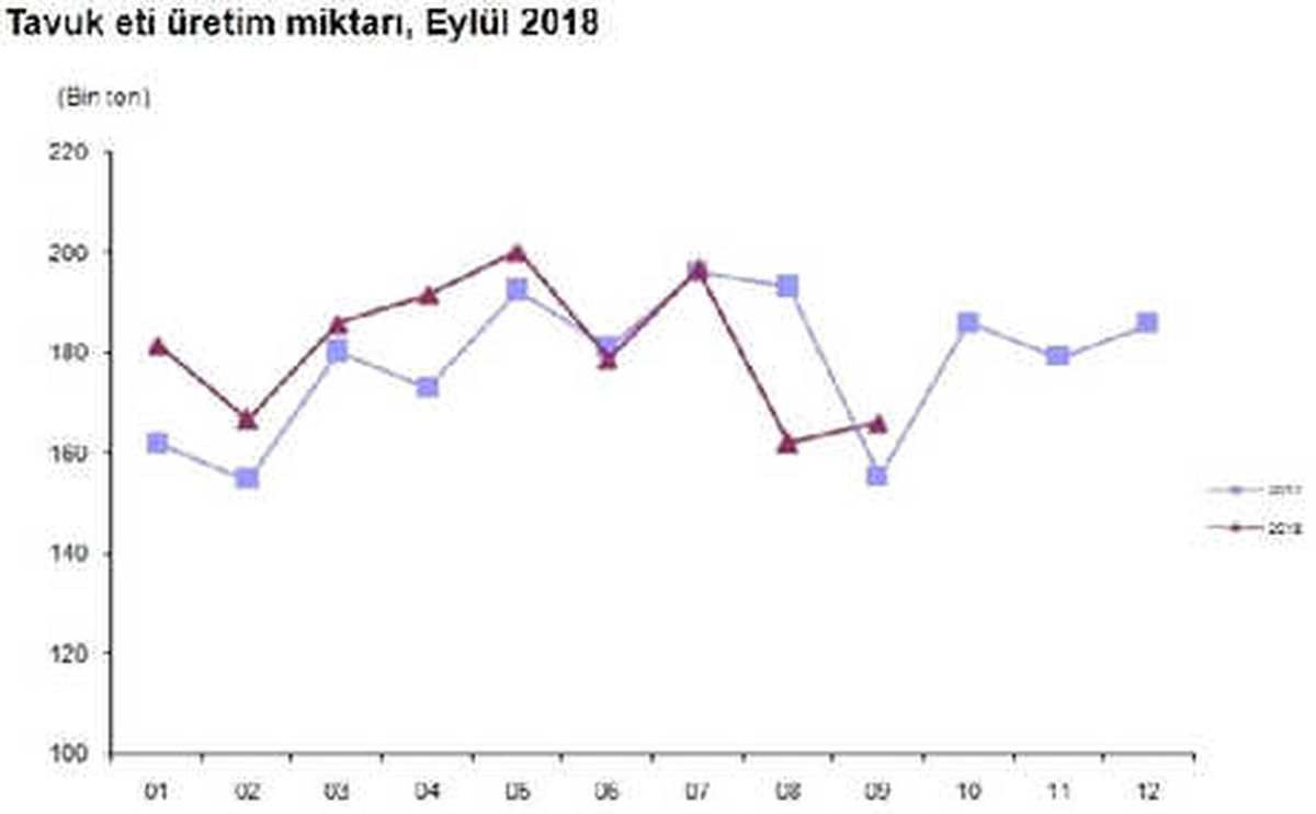 Tavuk Yumurtası Üretimi Eylül\'de 1.6 Milyar Adete Yükseldi
