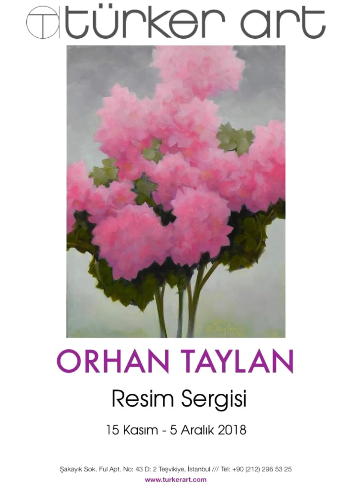 Türker Art\'ta Orhan Taylan Şöleni