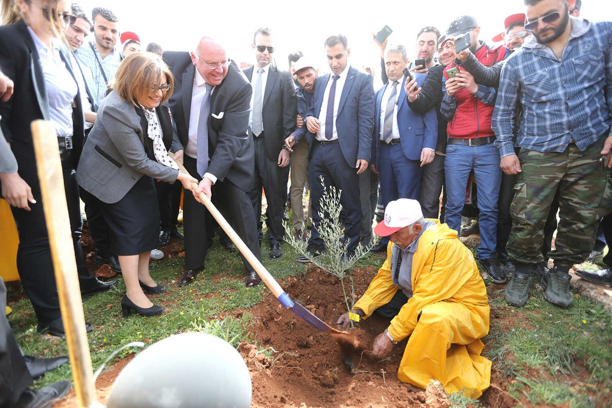 Büyükşehir, 3 Milyon Metrekarelik Alana Orman Kurdu
