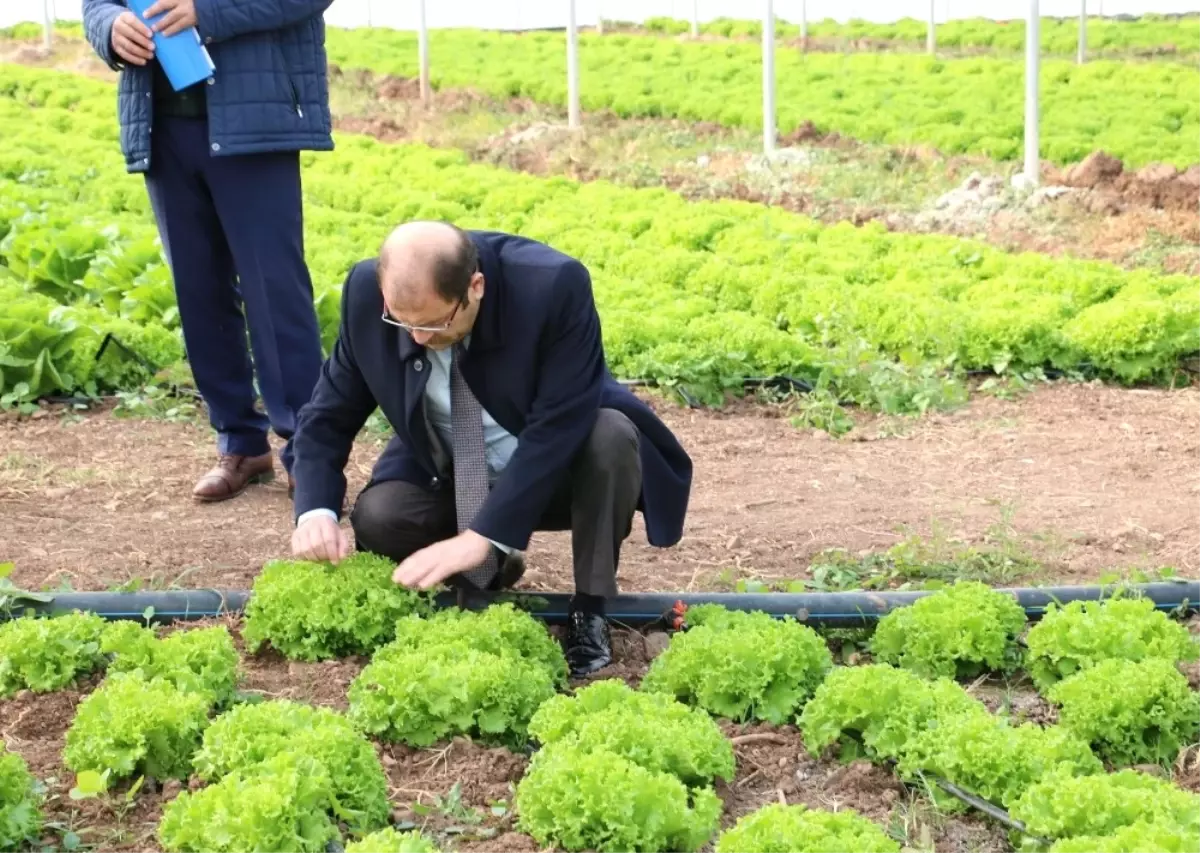 Erzincan\'da Sera Yatırımları Devam Ediyor