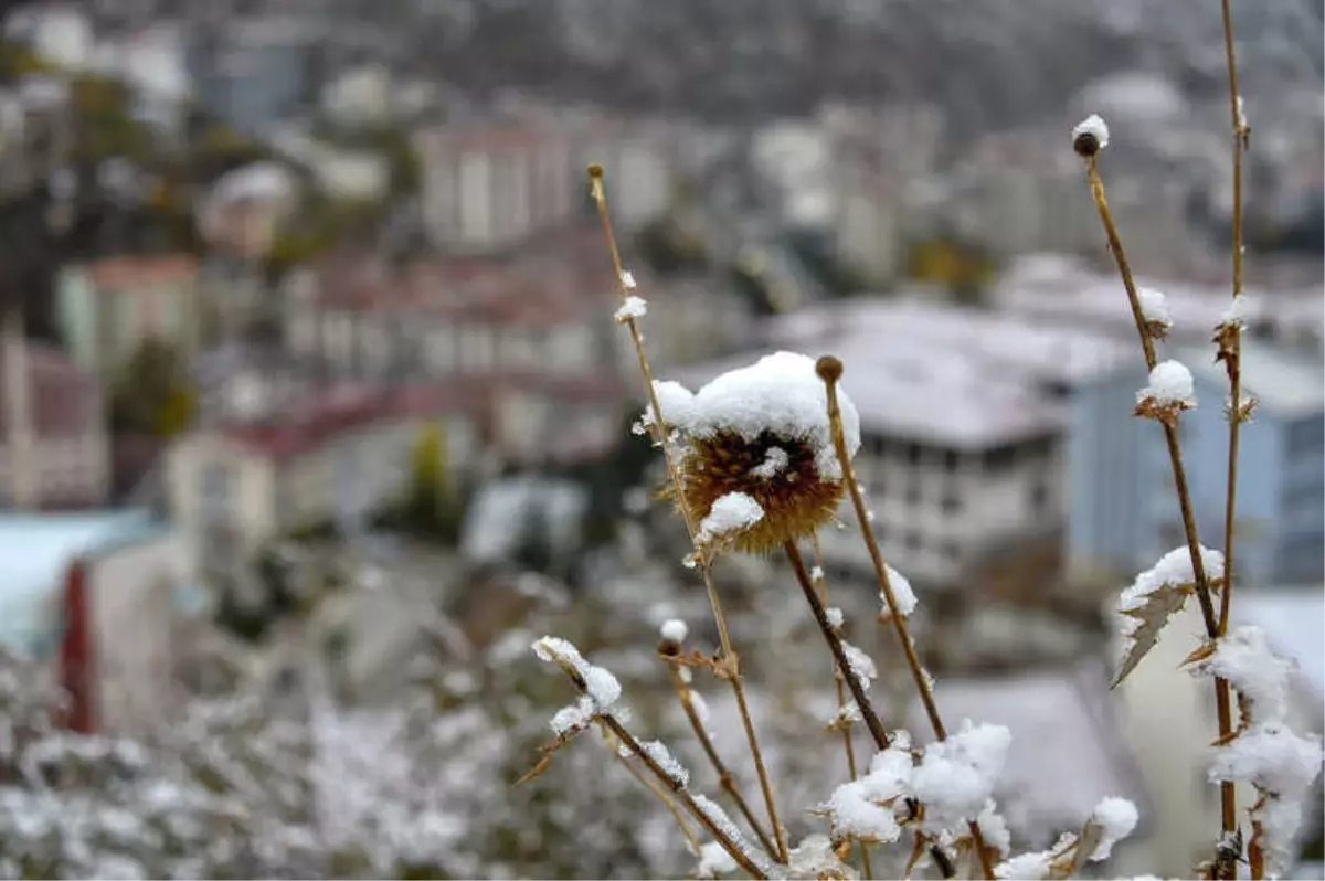 Gümüşhane Beyaza Büründü