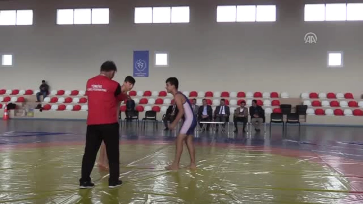 Hassa\'da Güreş Turnuvası Düzenlendi