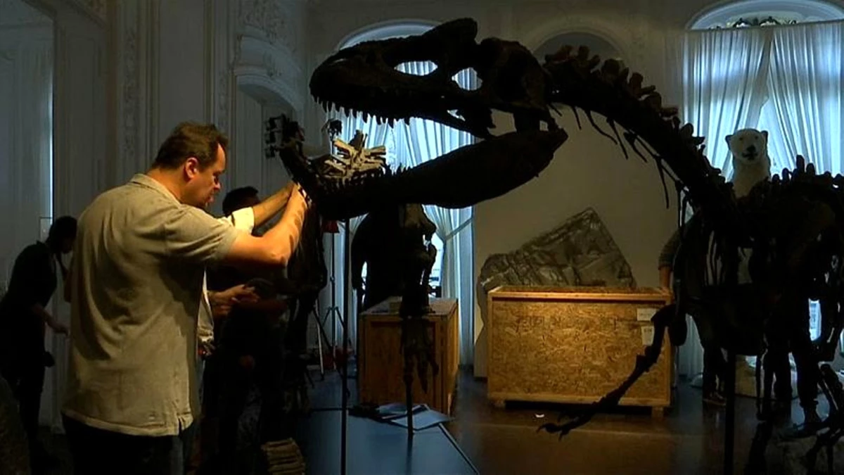 Jurassic Dönemi\'ne Ait 2 Dinozor İskeleti Paris\'te Açık Artırmada Satılacak